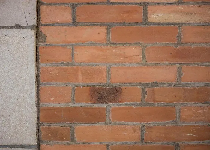 Coast Keyweek Duplex In The Center With Sea View 公寓